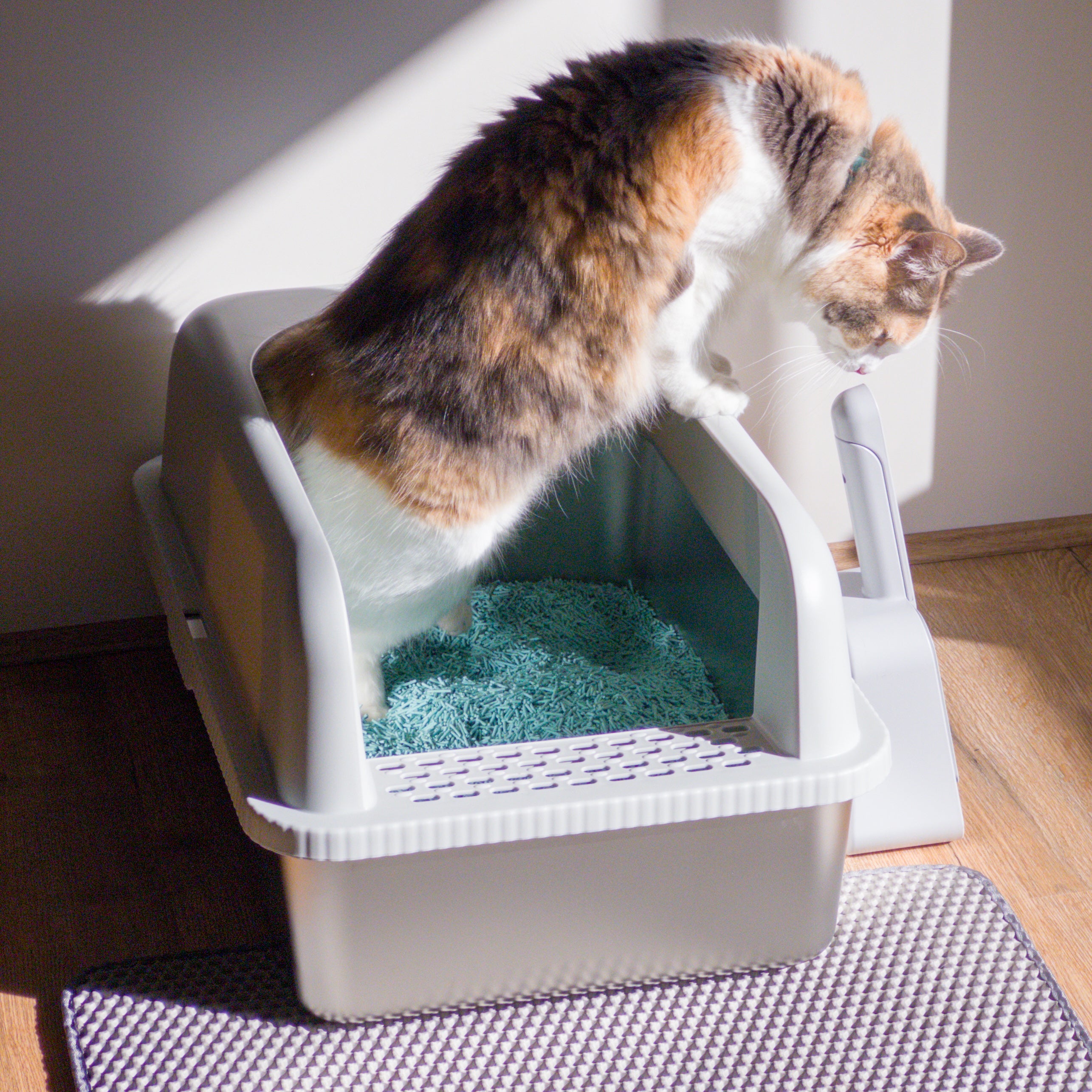 XXL Stainless Steel Litter Box