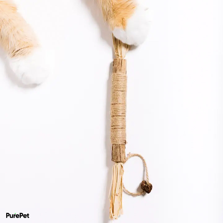Natural Silvervine Sticks