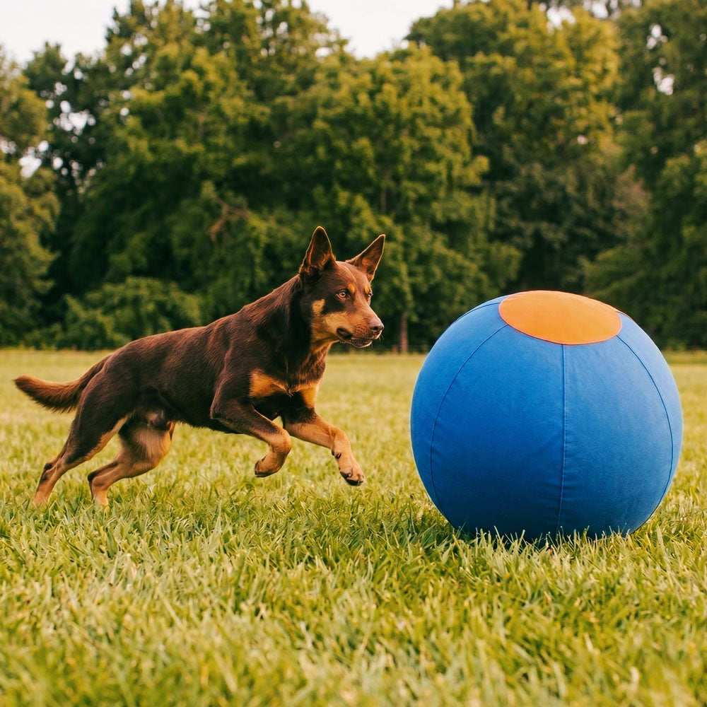 MusterBall Herding Ball (V2)