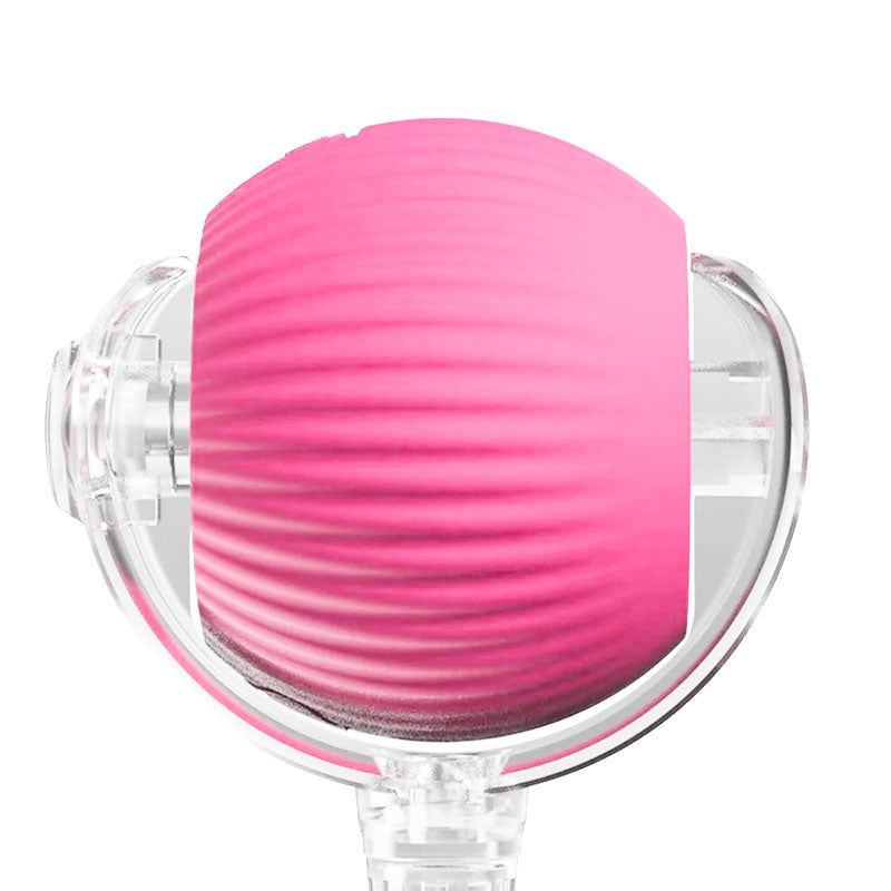 Pink interactive self-rolling pet toy ball