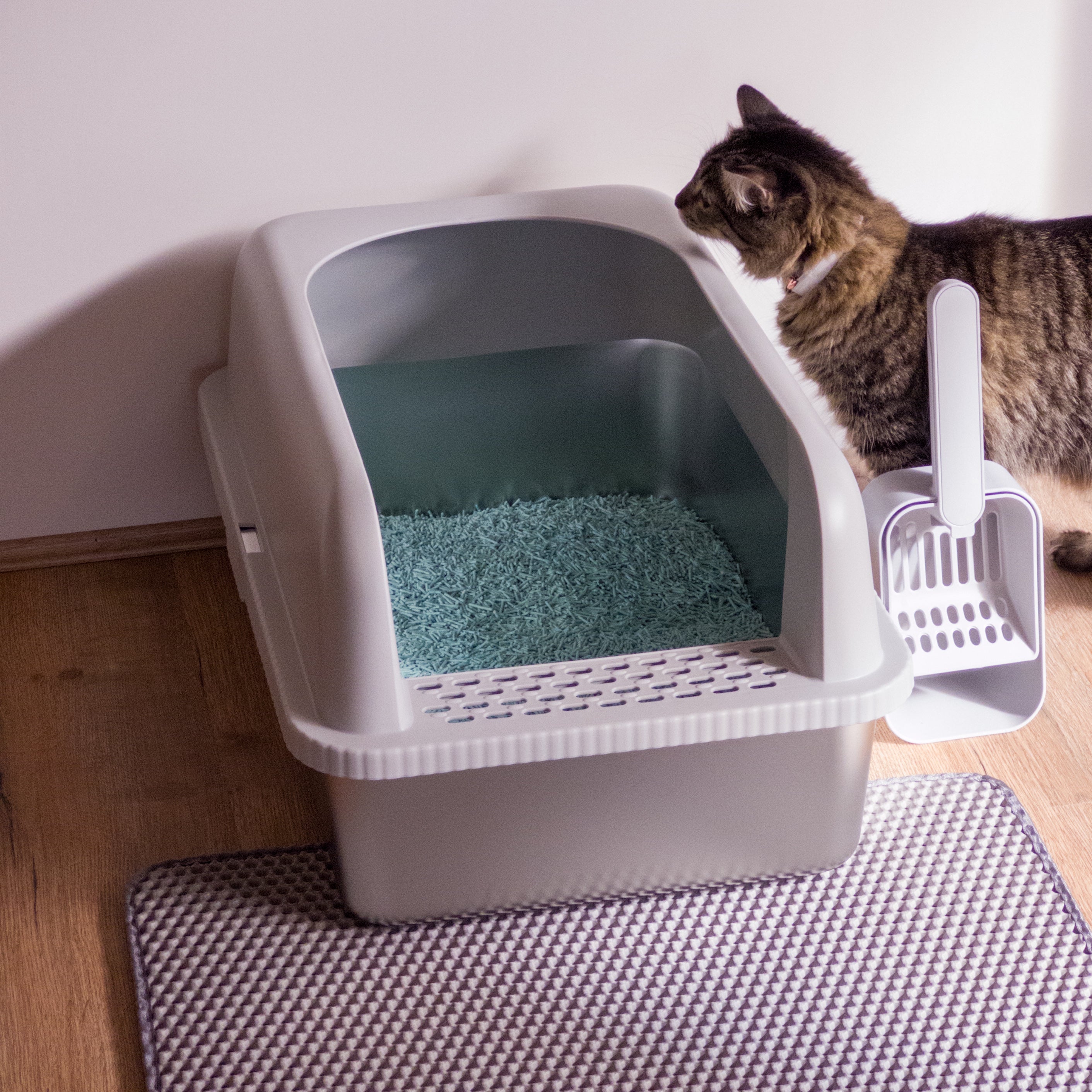 XXL Stainless Steel Litter Box