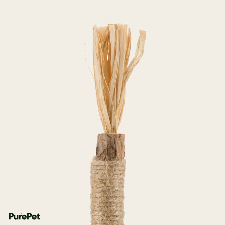 Natural Silvervine Sticks (Trial Pack)