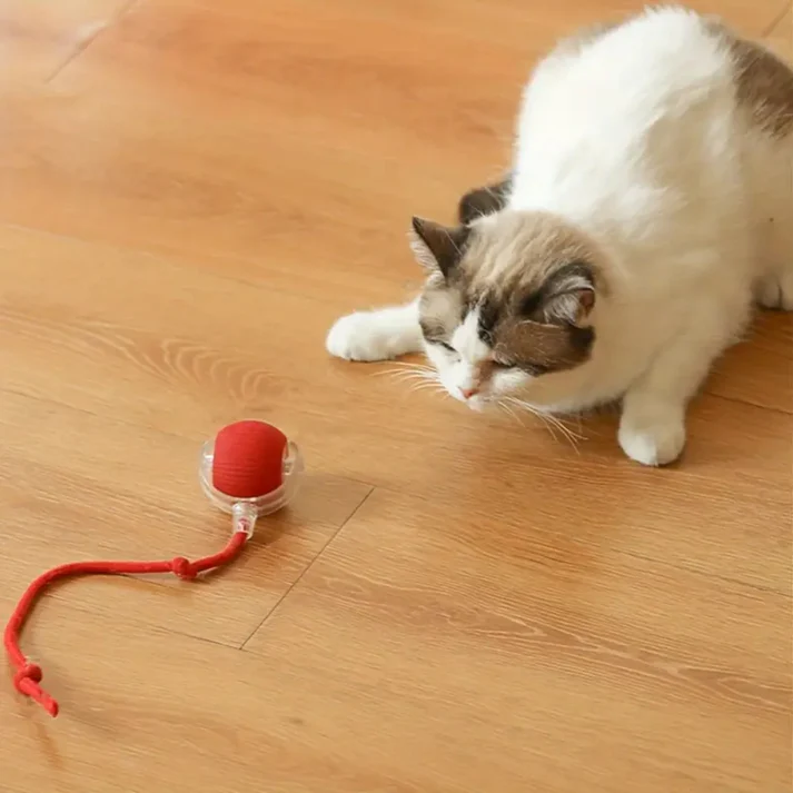 Smart cat ball features including 3 play modes and obstacle avoidance