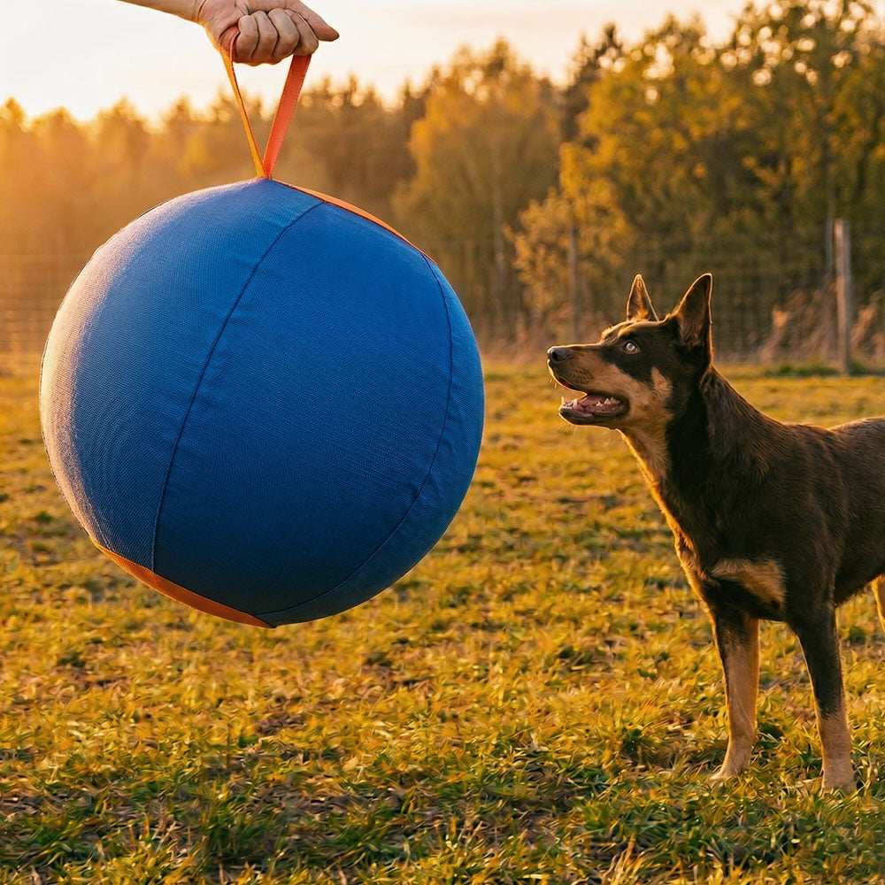 MusterBall Herding Ball (V2)