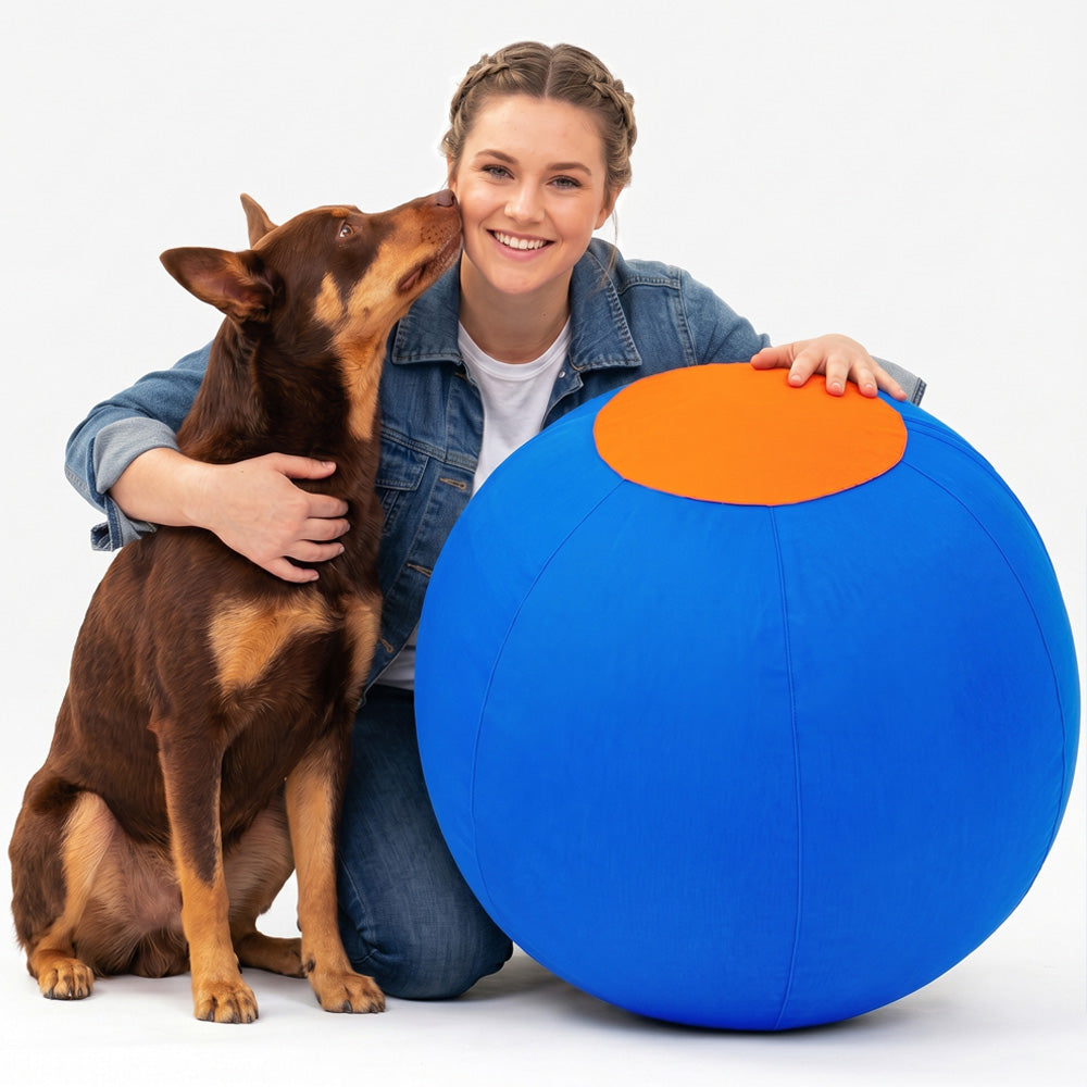 MusterBall Herding Ball (V2)