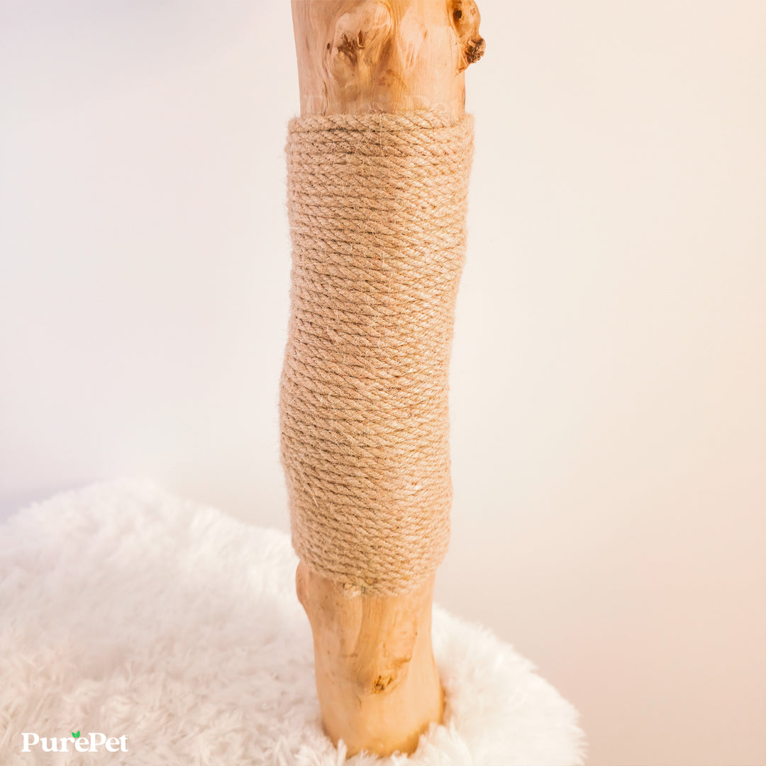 Kimberley Solid Wood Premium Cat Tower