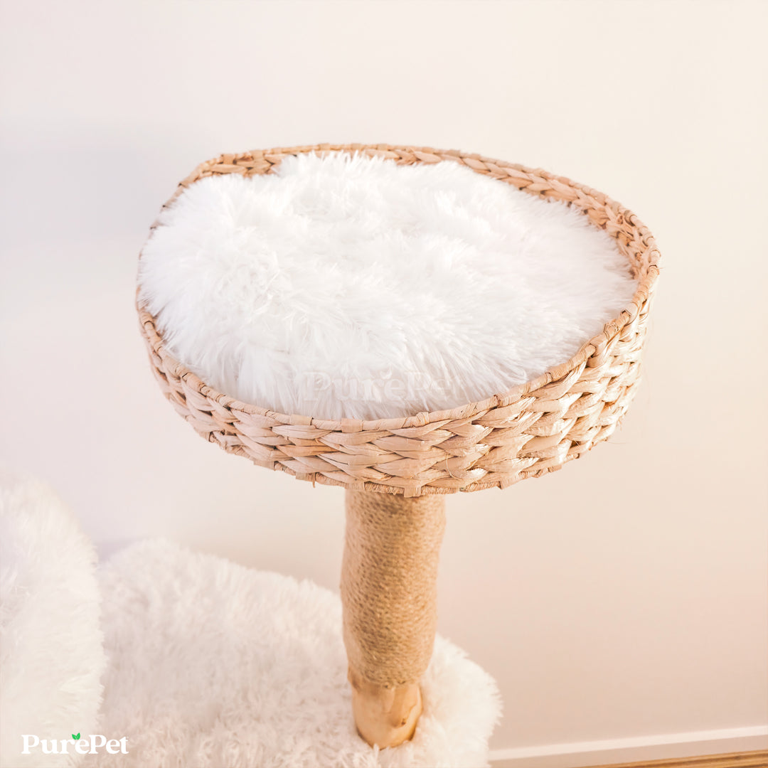 Kimberley Solid Wood Premium Cat Tower