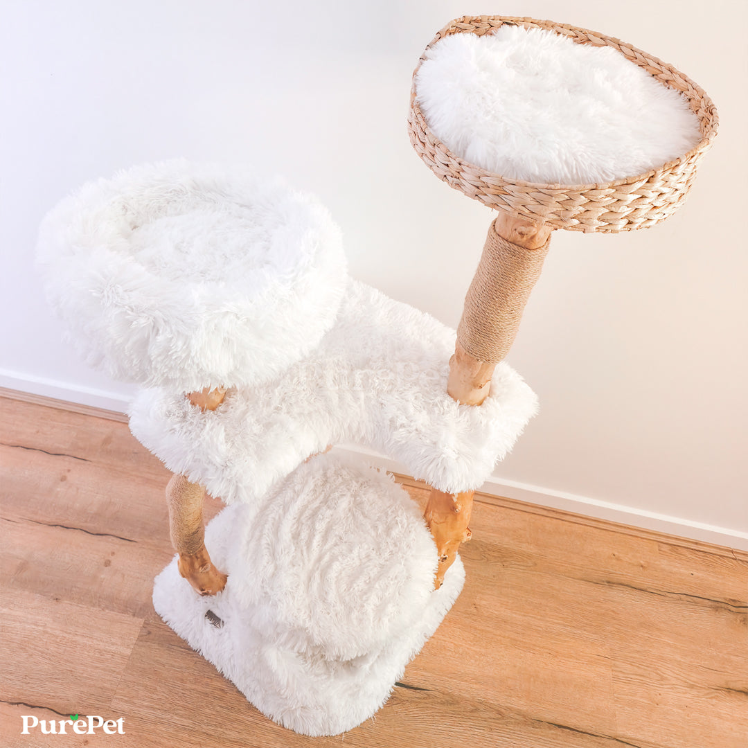 Kimberley Solid Wood Premium Cat Tower