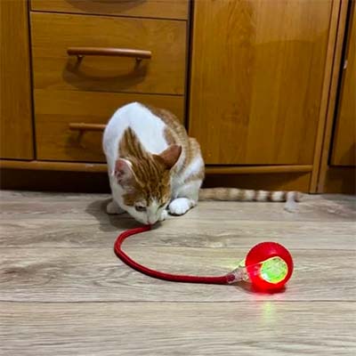 <h1>Trusted by thousands of pet owners</h1>