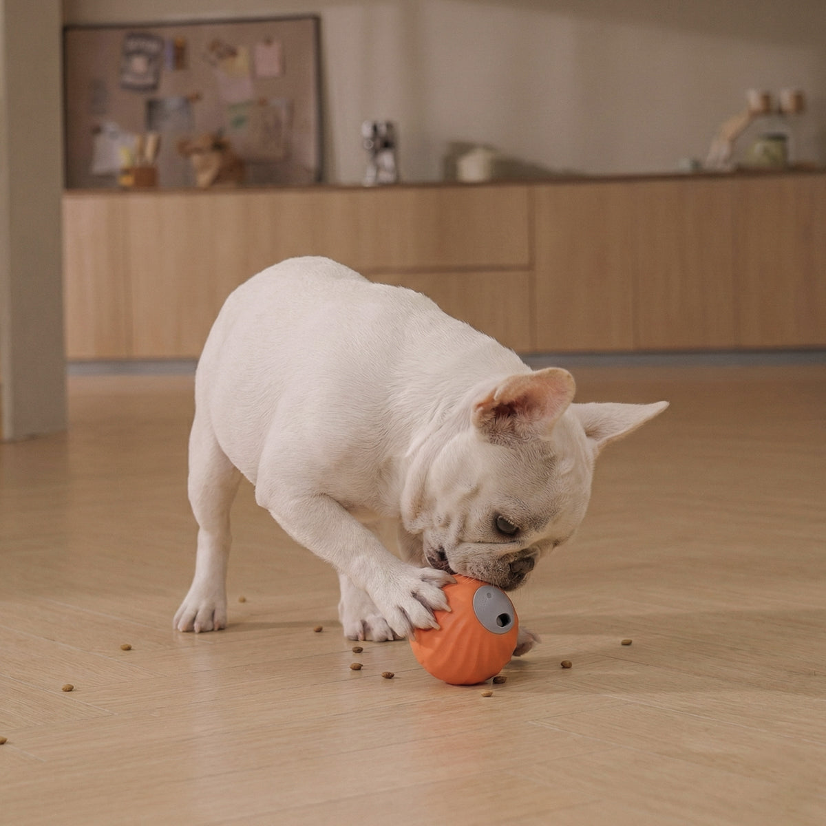 SnackShack Smart Ball