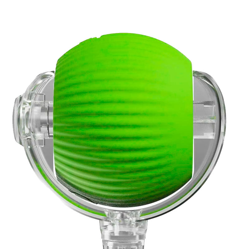 Green smart self-rolling dog ball toy for pets