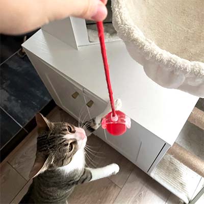Cat playing with a red ball attached to a string near a white cabinet.