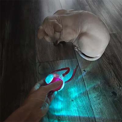 Five star customer review of interactive cat ball toy