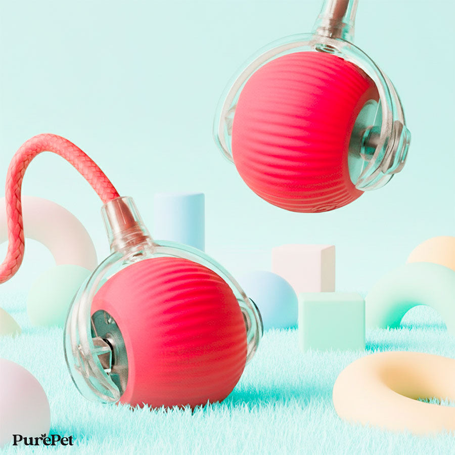 Smart pet ball toy available in six colours