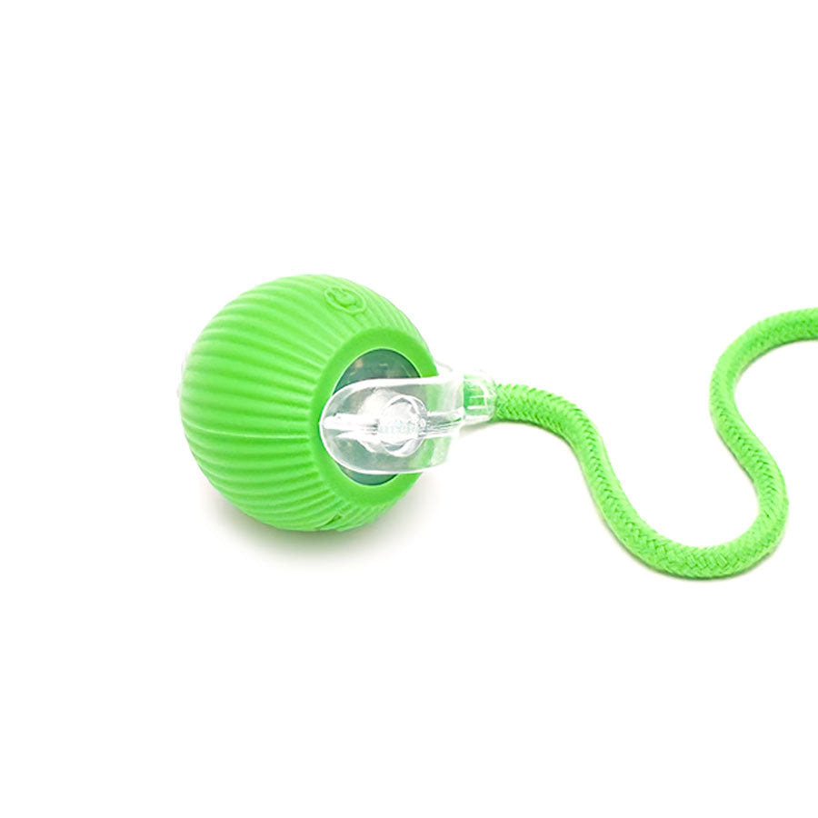 Green smart pet ball with removable tail