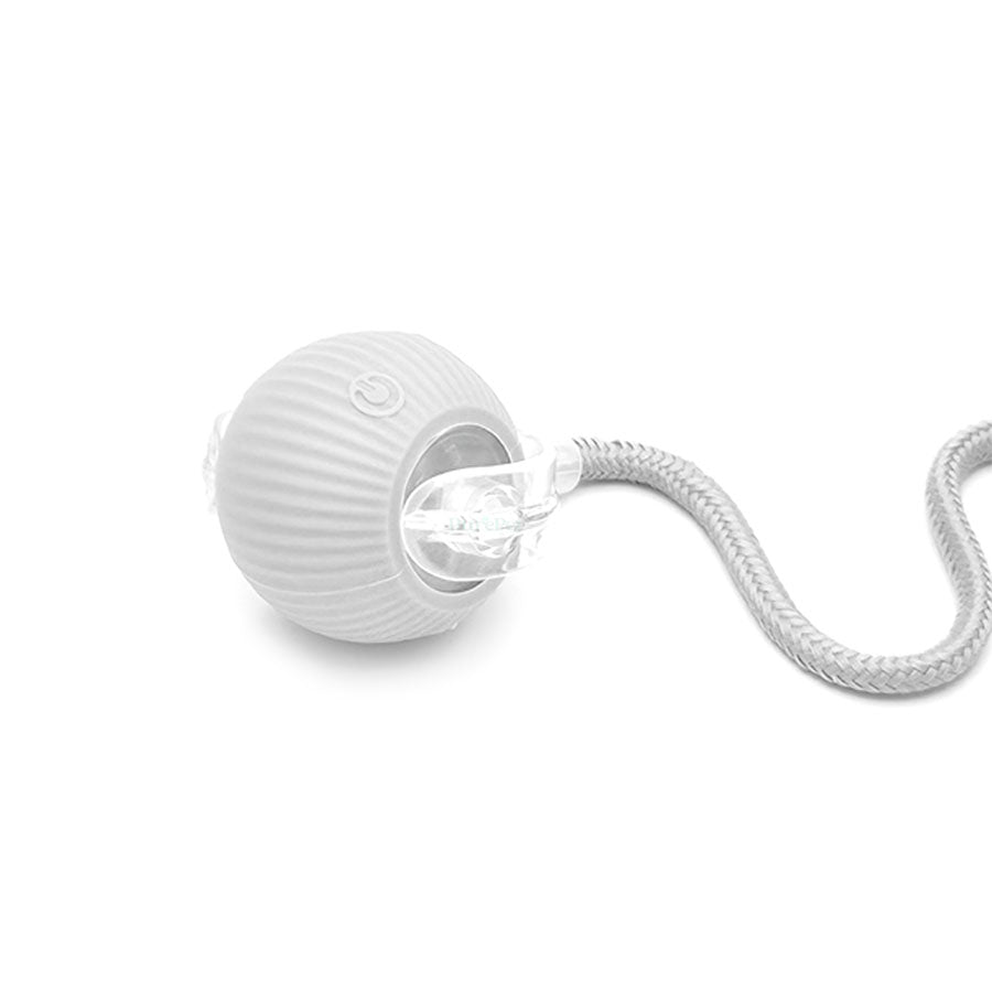Grey smart pet ball toy with removable tail