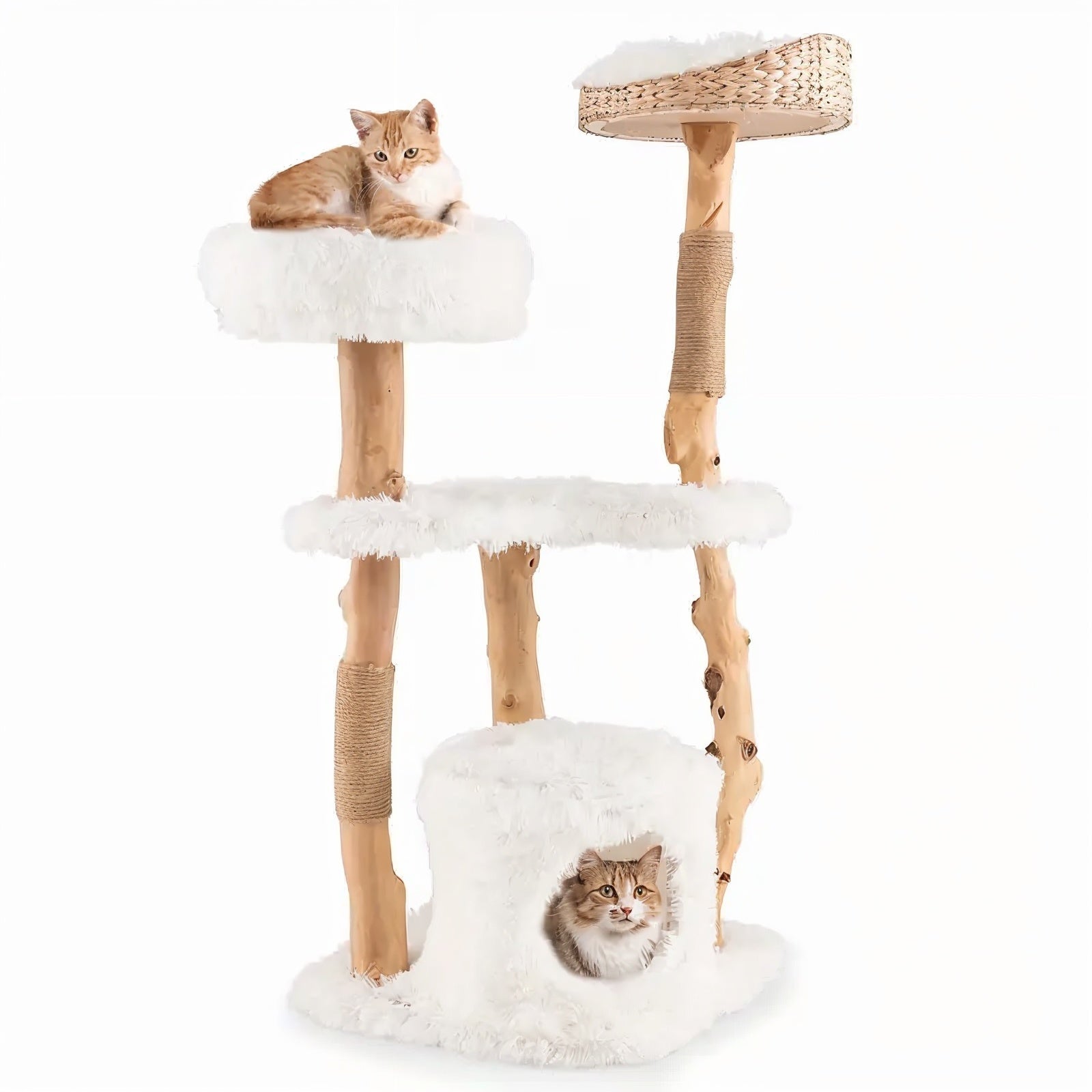 Kimberley Solid Wood Premium Cat Tower